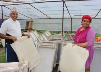 सेवा निवृत्त शिक्षकद्वारा हाते कागज उद्योग सञ्चालन