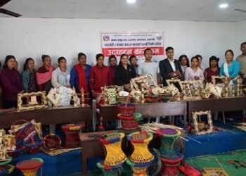 ‘आमा समूहसँग उपमेयर’ कार्यक्रममार्फत महिलालाई सीपमूलक तालिम