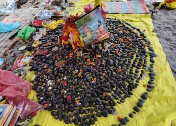 रुरु क्षेत्रमा पहिलो पटक ‘शालिग्राम महोत्सव’ सुरु