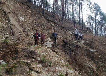 गौरवको आयोजना छ वर्षदेखि अलपत्र