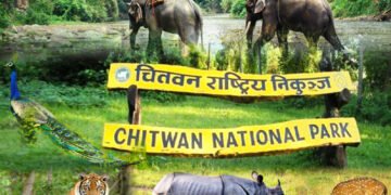 चितवन निकुञ्जमा पर्यटक आगमन घट्यो, राजस्वमा समेत असर