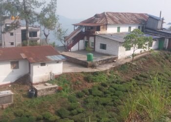 औद्योगिक जिल्लातर्फ अघि बढ्दै इलाम