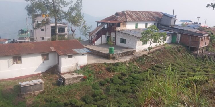 औद्योगिक जिल्लातर्फ अघि बढ्दै इलाम