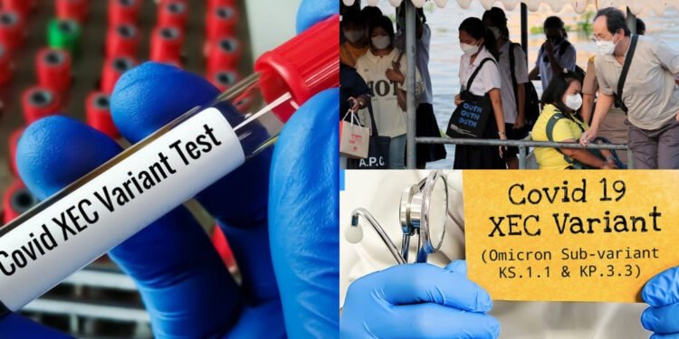 एशियामा तीव्र गतिमा फैलिँदै कोरोना-१९ का नयाँ संक्रमण