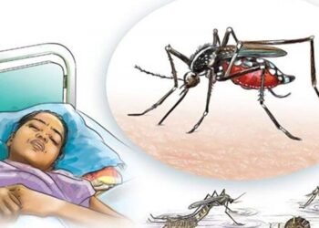 डेङ्गी सङ्क्रमणको जोखिम बढ्ने, सतर्कता अपनाउन आग्रह