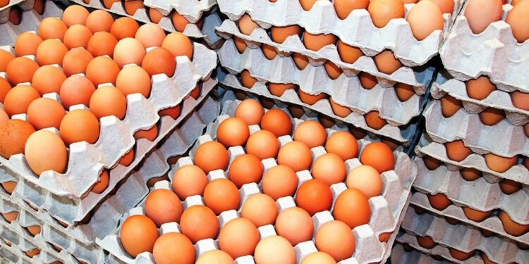 अण्डाको मूल्य बढेपछि किसानलाई राहत