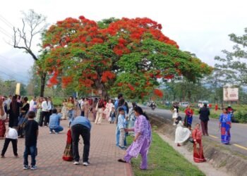 ढकमक्क फुलेका गुलमोहरले पर्यटकलाई लोभ्यायो