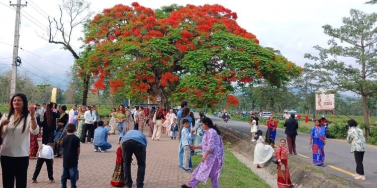 ढकमक्क फुलेका गुलमोहरले पर्यटकलाई लोभ्यायो
