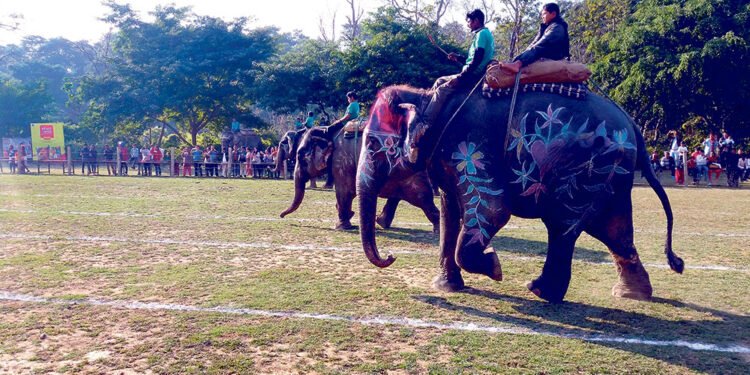 हात्ती सफारी व्यवस्थित गर्न माहुतेलाई प्रशिक्षण