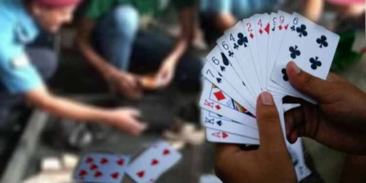 १३ जना जुवाडे पक्राउ