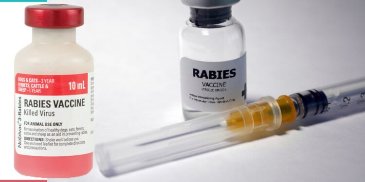 बैतडीमा रेबिजविरुद्ध खोपको चरम अभाव