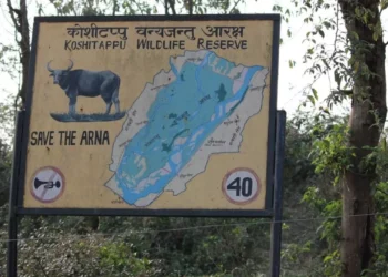 कोसी टप्पुमा पर्यटकको सङ्ख्या वृद्धि