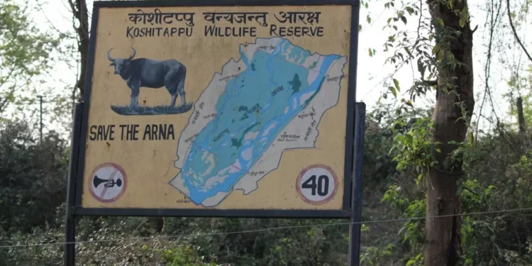 कोसी टप्पुमा पर्यटकको सङ्ख्या वृद्धि