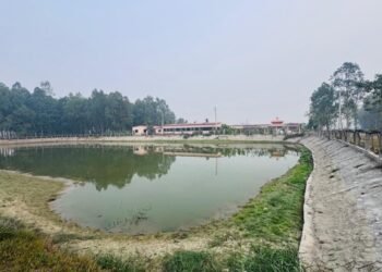 आलेख : नमूना बन्यो गौरादहको ‘सहकारी खेती’ र ‘कृषि घरबास’