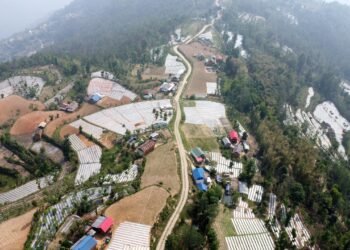 पौवादुङमाको ५०० हेक्टरमा अकबरे खुर्सानीखेती, किसानको आम्दानीमा वृद्धि