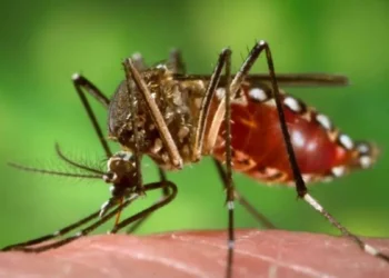 लामखुट्टेले किन यी मान्छे मन पराउँदैनन् ?