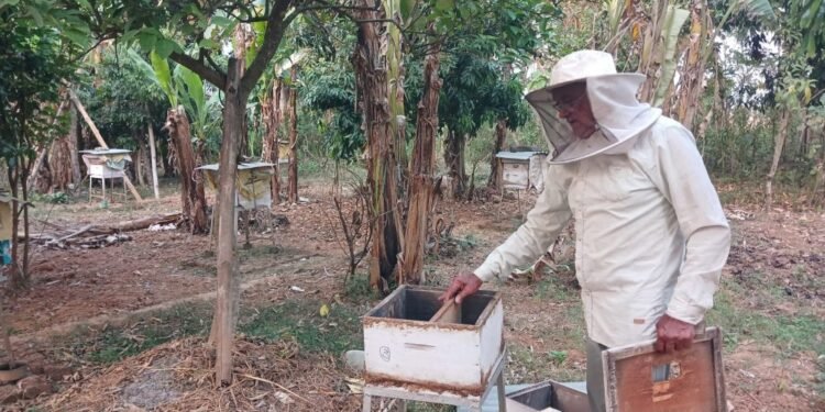 रामपुरमा बालीनालीमा छरेको विषादीले मौरी सखाप