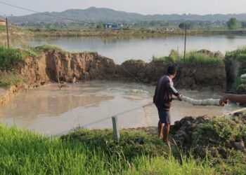 हेटौंडामा सडक भासिँदा माछा बोक्ने पिकअप जमिनमुनि पुरियो