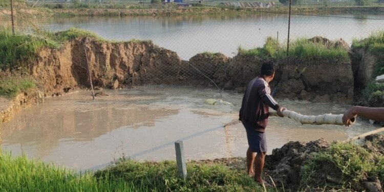 हेटौंडामा सडक भासिँदा माछा बोक्ने पिकअप जमिनमुनि पुरियो