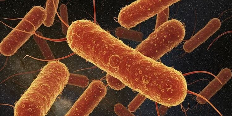 अन्तरिक्षमा भेटियो ‘रहस्यमय भाइरस’, बैज्ञानिकहरू नै देखेर अचम्मित