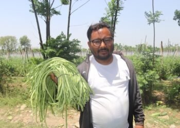 जग्गा भाडामा लिएर व्यावसायिक तरकारी खेतीमा रमाउँदै युवा महेन्द्र खड्का