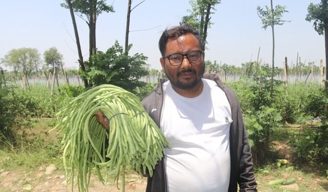 जग्गा भाडामा लिएर व्यावसायिक तरकारी खेतीमा रमाउँदै युवा महेन्द्र खड्का