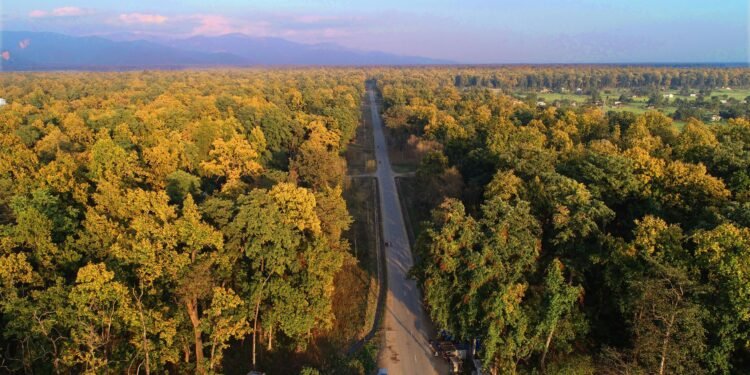 गड्डाचौकी–अत्तरिया सडकखण्ड स्तरोन्नतिले विकासमा नयाँ आयाम थपिने विश्वास