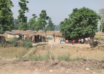 शुक्लाफाँटा विस्थापित २४ वर्षदेखि अँध्यारोमा, राज्यबाट अझै बेवास्ता