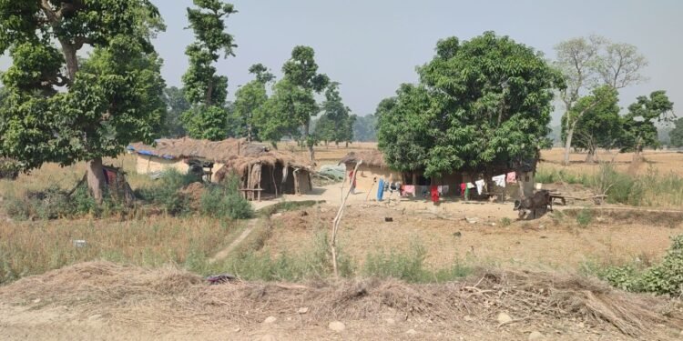 शुक्लाफाँटा विस्थापित २४ वर्षदेखि अँध्यारोमा, राज्यबाट अझै बेवास्ता