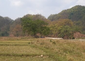 सुरौदी जलाधारः पुल नहुँदा जोखिम, कटान नियन्त्रण नहुँदा बगर