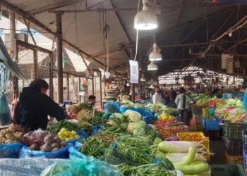 यस्तो छ आज सागसब्जी र फलफूलको अधिकतम थोक मूल्य