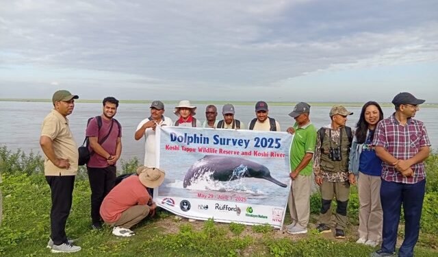 सप्तकोशीमा डल्फिन गणना