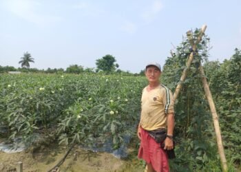 विदेशको कमाइ छाडेर कृषिमा रमाउनुभएका देउकुमार