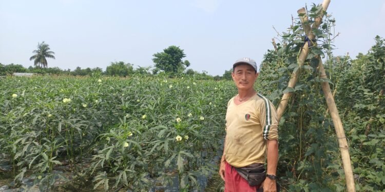 विदेशको कमाइ छाडेर कृषिमा रमाउनुभएका देउकुमार