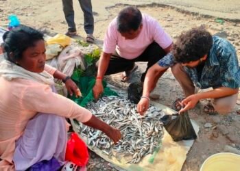 महाकालीको माछा बेचेर जीविका चलाउँदै