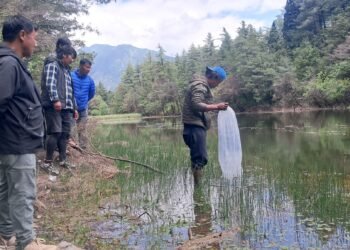 सेकुङ र भुतर्छो तालमा दश हजार माछाका भुरा छाडियो