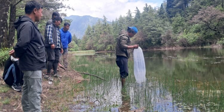 सेकुङ र भुतर्छो तालमा दश हजार माछाका भुरा छाडियो