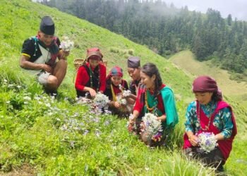 आज भूमेपर्व मनाइँदै : दाङ, रोल्पा, रुकुमपूर्व र प्यूठानका सम्बन्धित समुदायलाई सार्वजनिक बिदा