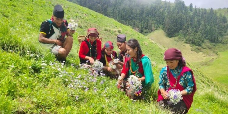 आज भूमेपर्व मनाइँदै : दाङ, रोल्पा, रुकुमपूर्व र प्यूठानका सम्बन्धित समुदायलाई सार्वजनिक बिदा