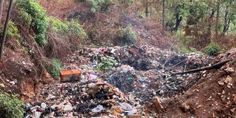 मङ्गलसेन नगरपालिकाको फोहोर सामुदायिक वनमा