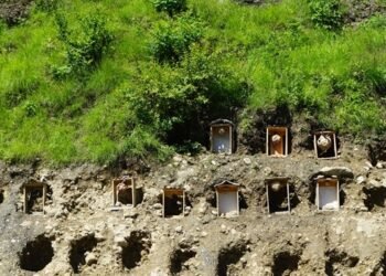 म्याग्दीमा व्यावसायिक अरिङ्गालपालन