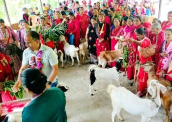 बाख्रा उपहार पाएपछि महिला खुसी