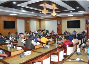 सार्वजनिक यातायात व्यावसायीहरुसँग समस्या समाधानका लागि वार्ता समिति गठन
