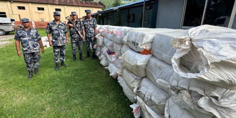 धरानमा दुई हजार एक सय गाँजा र ट्रक बरामद