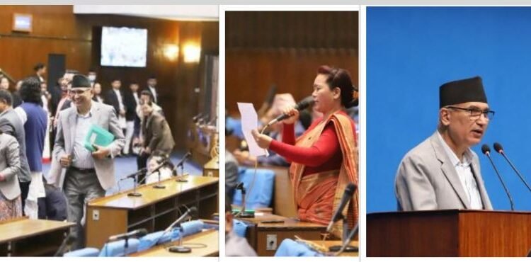 अर्थमन्त्री जवाफ दिन अघि बढेपछि पुनः रास्वपाको अराजक शैली , नाराबाजीप्रति सांसद थिङको आपत्ति