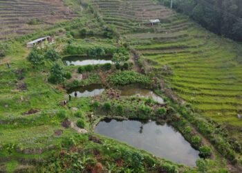 विदेशबाट फर्केर माछापालनमा रमाएका भोजपुरका ‘कमल’