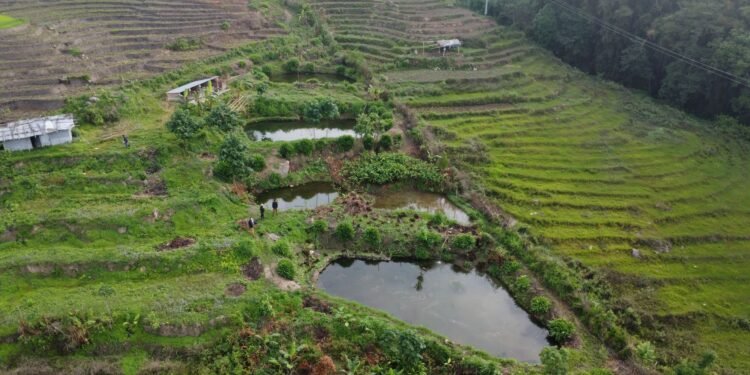 विदेशबाट फर्केर माछापालनमा रमाएका भोजपुरका ‘कमल’