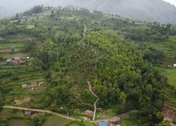भोजपुरको वाक्चाखामा ‘जाल्पादेवी गुराँस पदमार्ग’ निर्माण