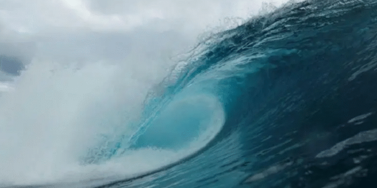 महासागरभित्र किन बढ्दै छ अँध्यारो ?