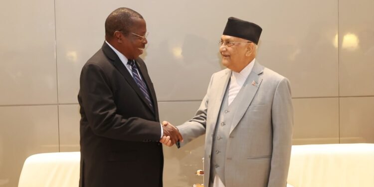 प्रधानमन्त्री ओली र तान्जानियाका उपराष्ट्रपति फिलिपबीच भेटवार्ता